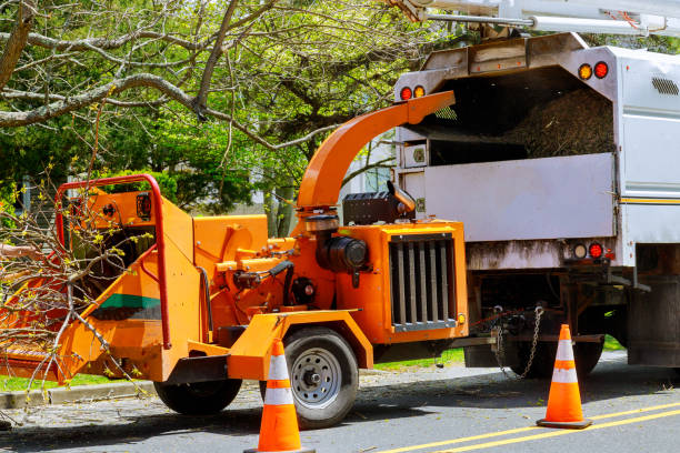 Best Leaf Removal  in Remsenburg Speonk, NY